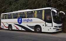 Zingbus bus ticket